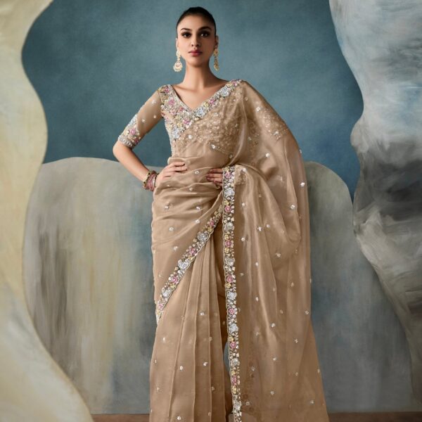 Champagne Gold Tissue Saree with Hand Embroidery